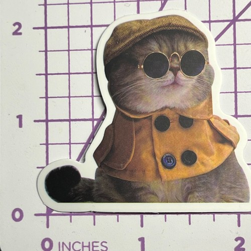 Ispettore gattino costume - -,