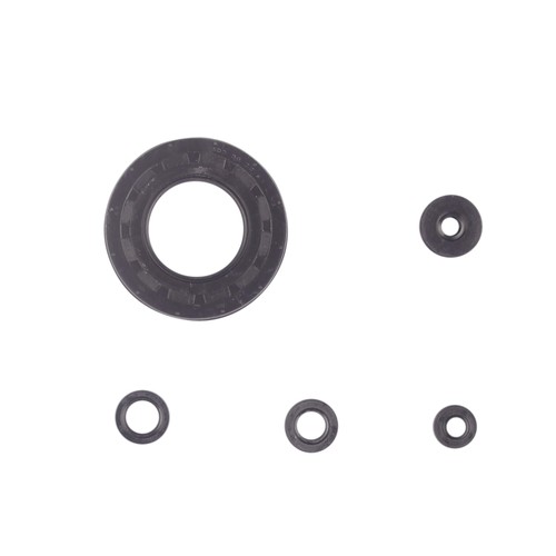 Set paraolio motore per - , honda