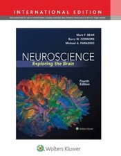 Neuroscience : Exploring the