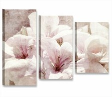 FIORI SHABBY CHIC 1 - Quadro
