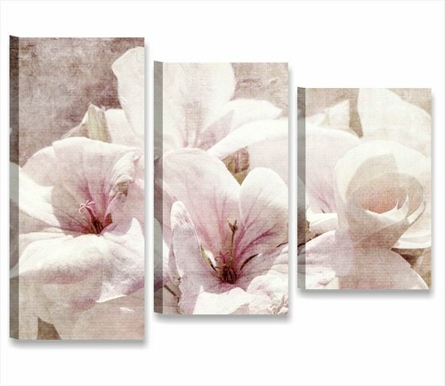Fiori shabby chic - fiori,
