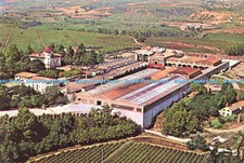 D138668 Cavas Codorniu View