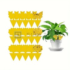 15pz Trappola Per Mosche