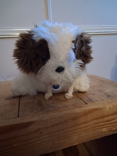 Nintendogs cucciolo - nintendogs,