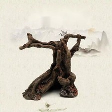 Radice di legno alla deriva in