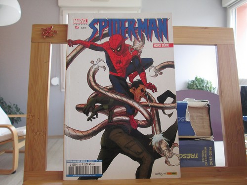 Spider man hors serie 15 - hors, n°15