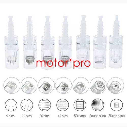 10x per derma - per, n2,