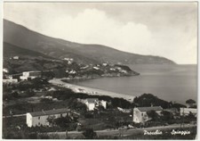 PROCCHIO - ISOLA D'ELBA - LIVORNO - SPIAGGIA - VIAGG. 1957 -73950-
