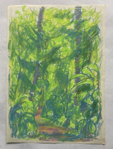 Disegno pastello post - pastello,