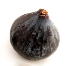 Ficus carica cv PANTERA NERA