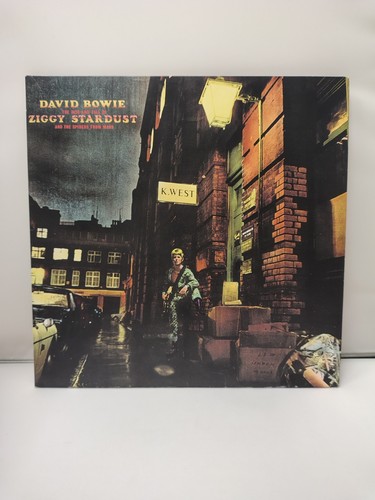 David bowie the - rise, and