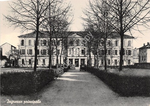 Cartolina postcard - -,
