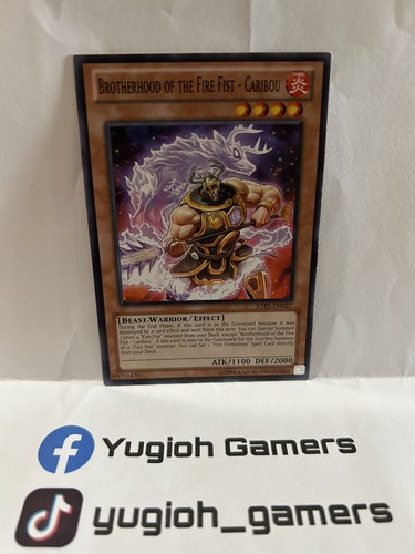 Fratellanza del pugno - yu-gi-oh,