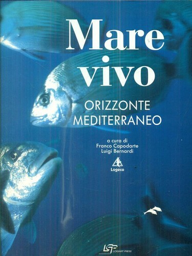 Mare vivo orizzonte - vivo.,