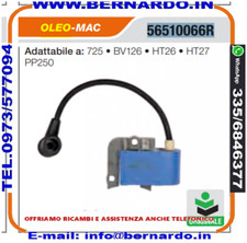 56510066R. TAGLIASIEPI OLEO