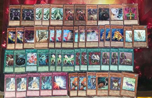 Mazzo completo rana - mazzo,