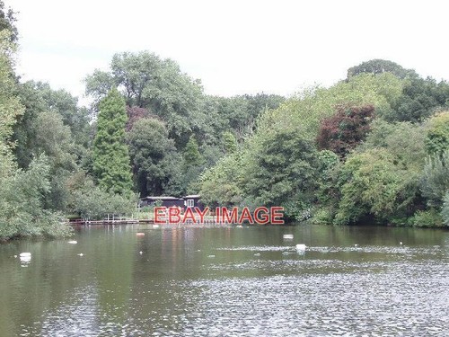 Photo hampstead ponds bathing - photo,