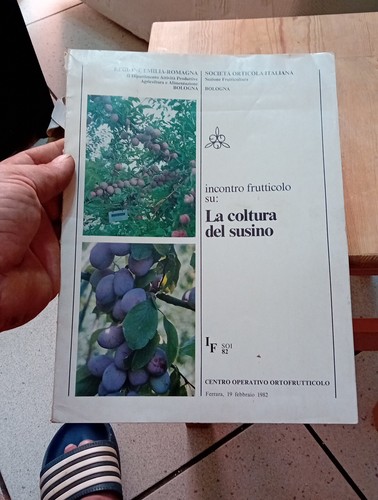 Coltura del susino - la,