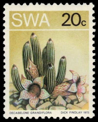 Sud ovest africa - africa,