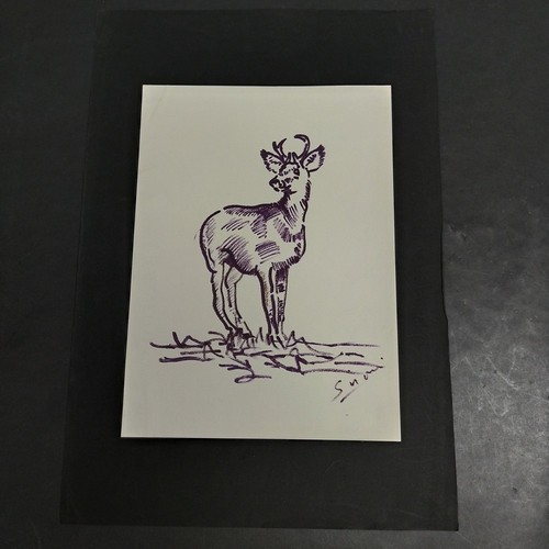 Disegno pennarello nero - a,