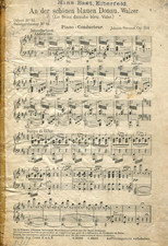 Sul bellissimo Danubio blu