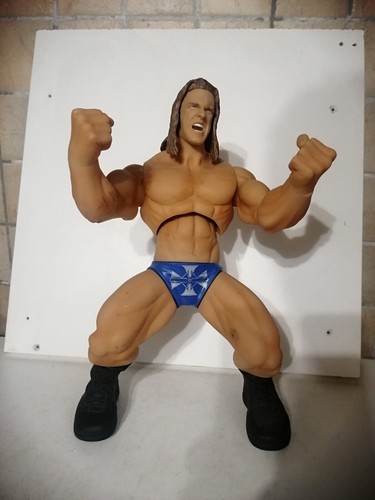 Wwe ring action figure - wwe,