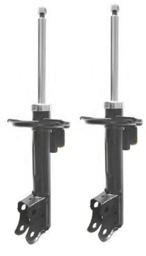 Ammortizzatori anteriori - 2x,