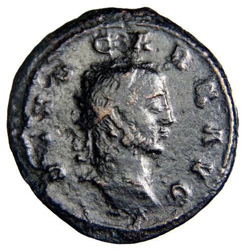 Raro divus carus - divus,