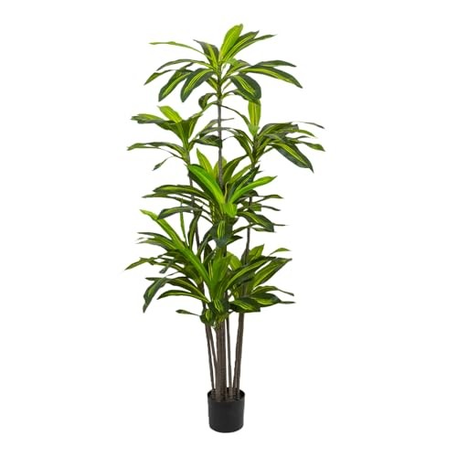 Albero dracaena artificiale - albero,