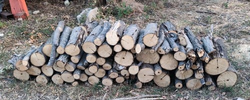 Legna ardere 100 - legna, da