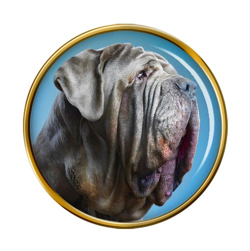 Spilla con mascotte - spilla,
