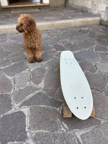 Decathlon longboard skateboard - decathlon,