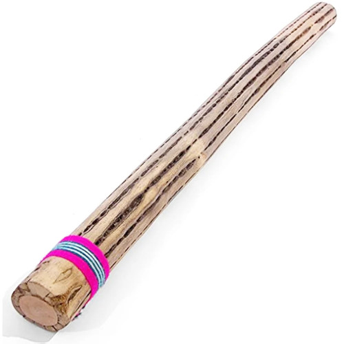 Cactus rainstick - cactus,
