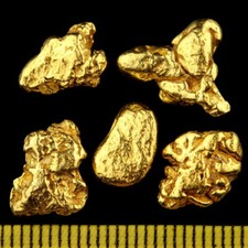 Pepite d'oro dell'Alaska +