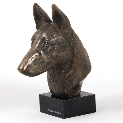 Cane pastore belga - cane, malinois