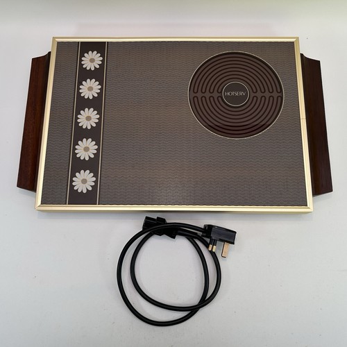 Scaldavivande elettrico buffet