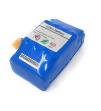 Batteria Hoverbord Litio 36V