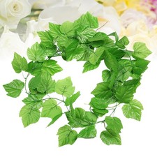  12 Pcs/Pack Vite Di Fiori