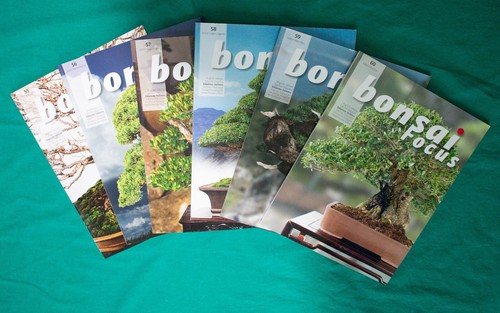 Bonsai focus rivista di - rivista, arte