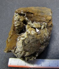 Minerali  QUARZO su  LIMONITE, Osnabruck  Germania