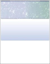 1000 Blank Check Stock -