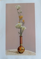 Dario Manini cm 50x70