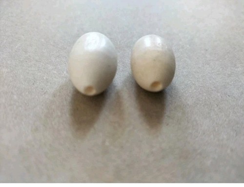 Ricambio sitar bone fine - ricambio,