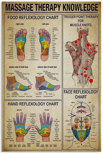 Targa massage therapy - massage,
