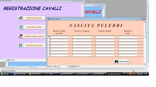 Software programma gestione - programma,