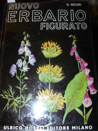 Nuovo erbario figurato