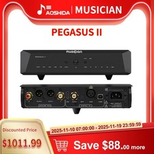 MUSICIAN PEGASII HIFI R2R