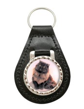 Gatto Persiano Nero Pelle