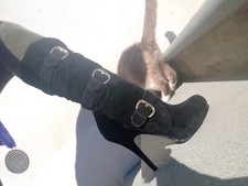 Stivali Alti Donna Tacco Alto Velluto Nero Taglia 38 Tacco Di 11 Cm Borchie Oro