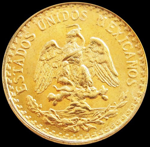 Moneta oro messico pesos - moneta,